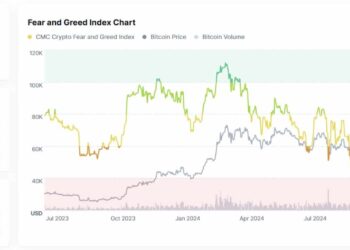 Post-Halving Bitcoin: Long-Term Holders Are Loading Up Again – Is the Next Rally Loading?