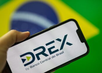 Brazilian Drex Hits Privacy Roadblock as Support From External Partners Wanes