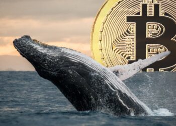 Cryptoquant Report Flags Stalled Whale Accumulation, Miner Pressure Hits Bitcoin