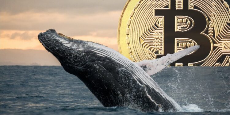 Cryptoquant Report Flags Stalled Whale Accumulation, Miner Pressure Hits Bitcoin