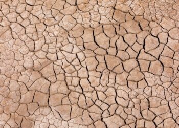 Ripple Deploys RLUSD in Kenya as Blockchain Aid Faces Real-World Drought Test