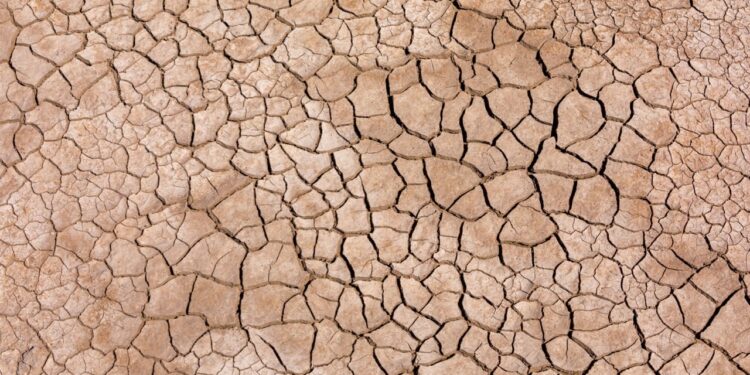 Ripple Deploys RLUSD in Kenya as Blockchain Aid Faces Real-World Drought Test