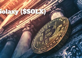 Schwab Says Crypto Could Disappear — Solaxy ($SOLX) Says Otherwise
