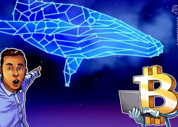 Spot Bitcoin ETF inflows fall, but BTC whale activity points to bull market acceleration