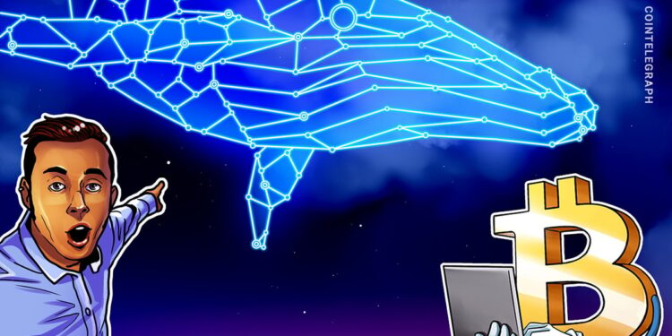 Spot Bitcoin ETF inflows fall, but BTC whale activity points to bull market acceleration