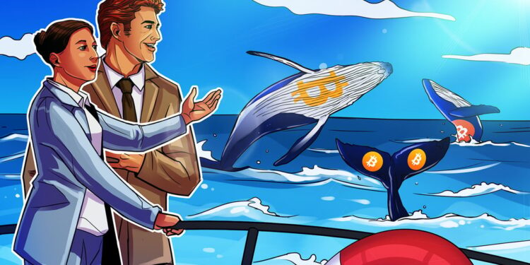 Bigger Bitcoin wallets are stacking while others sell: Santiment