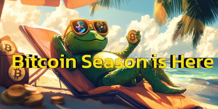 3 Cryptos to Make 100x During the Bull Run