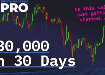 Bitcoin Price Surges $30,000 In 30 Days! What’s Next?