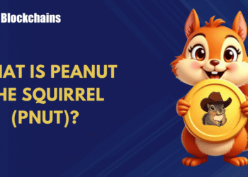 What is Peanut the Squirrel (PNUT) and How Does it Work?