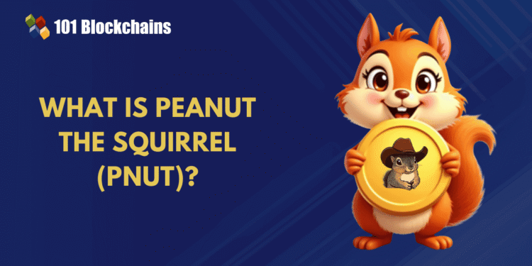 What is Peanut the Squirrel (PNUT) and How Does it Work?