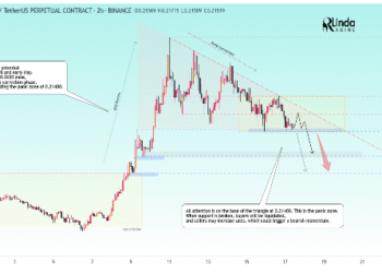 Dogecoin Price Tests Panic Zone At $0.21, Breakdown Could Lead To Price Crash