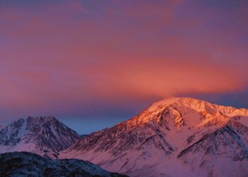 Increased Bandwidth, Reduced Latency: Solana Proposes New Consensus Protocol