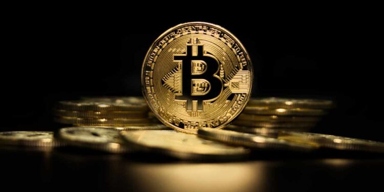 Bitcoin Treasuries May Reshape Corporate Finance Models, Advocate Says