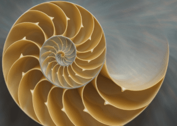 Fibonacci Retracement: A Trader’s Compass in the Bitcoin Market