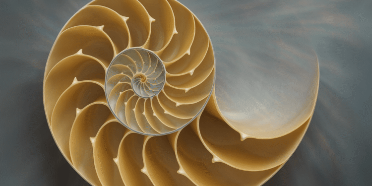 Fibonacci Retracement: A Trader’s Compass in the Bitcoin Market