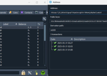 The transaction history made to the address via the Electrum Testnet wallet is not displayed