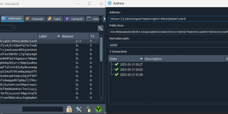 The transaction history made to the address via the Electrum Testnet wallet is not displayed
