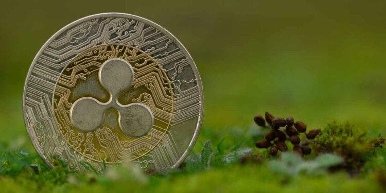 Ripple Launches First-of-Its-Kind $25M RLUSD Fund to Support US Education