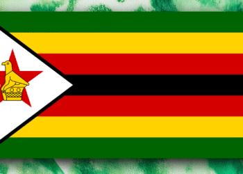 Zimbabwe Turns to Blockchain to Revive Carbon Credit Investor Confidence
