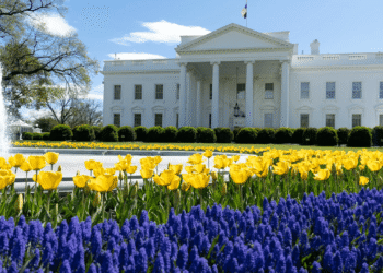 Crypto.com Expands US Presence With New DC Office Amid Trump’s Regulatory Shifts