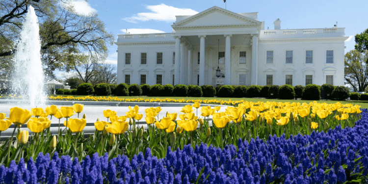 Crypto.com Expands US Presence With New DC Office Amid Trump’s Regulatory Shifts