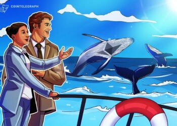 Ethereum whales, sharks keep buying up ETH as retail cashes out