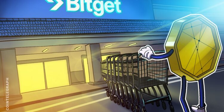 Retail investors no longer FOMO into BTC, altcoins