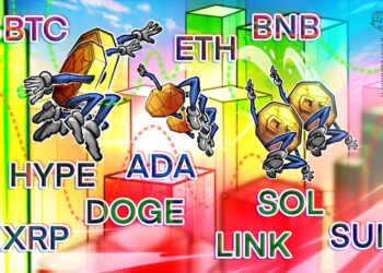 BTC, ETH, XRP, BNB, SOL, DOGE, ADA, HYPE, SUI, LINK