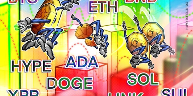 BTC, ETH, XRP, BNB, SOL, DOGE, ADA, HYPE, SUI, LINK