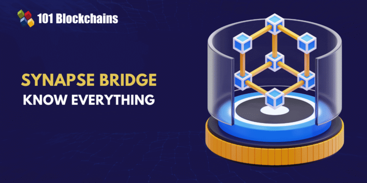 Synapse Bridge: The Leading Cross-Chain Solution