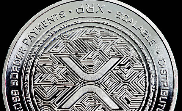 Will Elon Musk Pick XRP Over Dogecoin For X Payments? Market Expert Answers