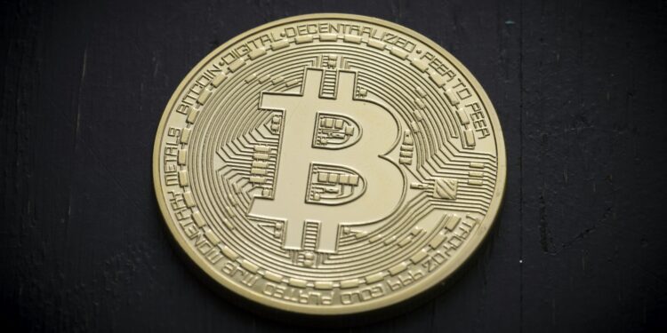 Ignore The Trump–Musk Noise: Bitcoin’s Backbone Stays Solid
