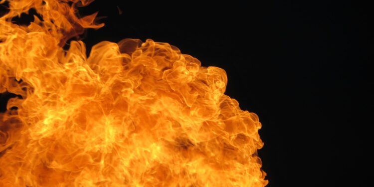 Can It Change The SHIB Price Trajectory?