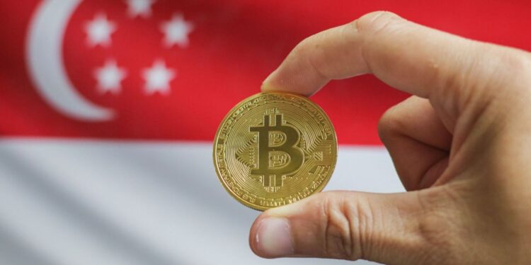 Davis Commodities Bets on Bitcoin in $30 Million Digital Assets Strategy