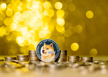 Is Dogecoin Ready To Explode? Crypto CEO Explains Why A DOGE Rally Is Possible