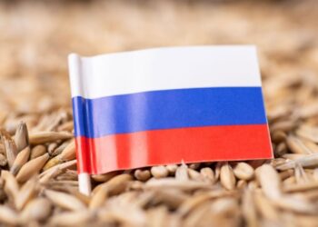 Russia Considers Crypto for Settling Grain Exports