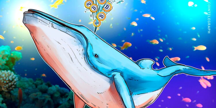No Indications of Sell-Off in $8.6B Bitcoin Whale Transfer