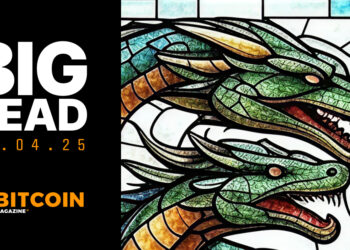 Bitcoin Treasury Companies Are Bubbles