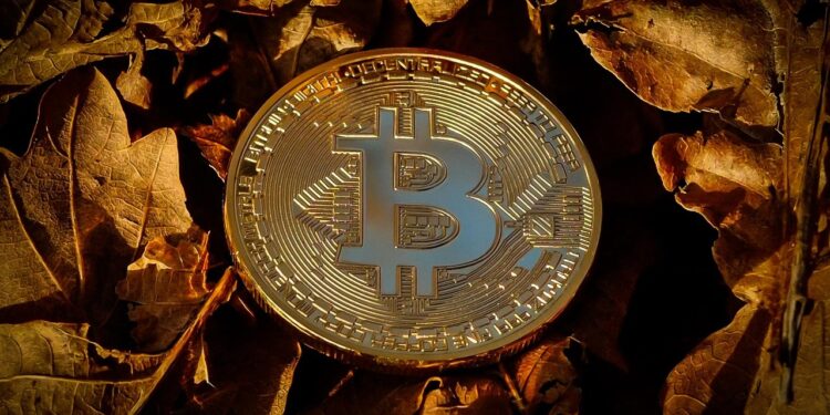 Elon Musk’s SpaceX Moves Bitcoin Holdings For The First Time In 3 Years, Here’s Where It Went