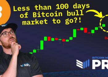 Does Bitcoin Have Less Than 100 Days Left In This Cycle?
