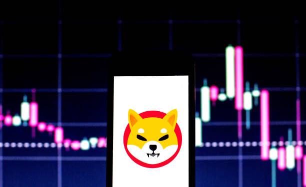 Shiba Inu Exchange Reserves Hit Lowest Level Since 2023 — Why A Price Surge Could Follow