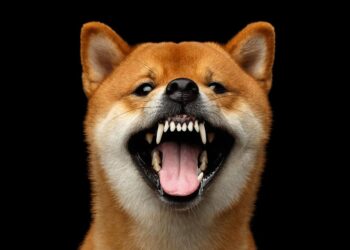 Dogecoin Replicates Bullish Wave From Nov 2024 — Why Price Can Rocket Above $1