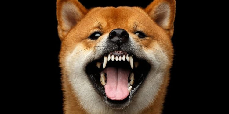Dogecoin Replicates Bullish Wave From Nov 2024 — Why Price Can Rocket Above $1