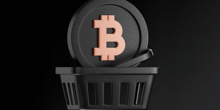 Xapo Reports 24% Jump in Bitcoin Loans, Surging Stablecoin Use in Emerging Markets