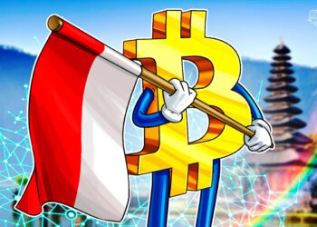Indonesian Government Is Considering A Bitcoin Reserve