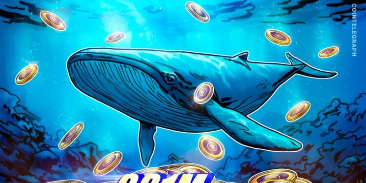 Pi Whale Wallet Amasses 331M Pi Coins