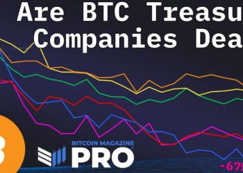Are Bitcoin Treasury Companies Still A Smart Investment In 2025?