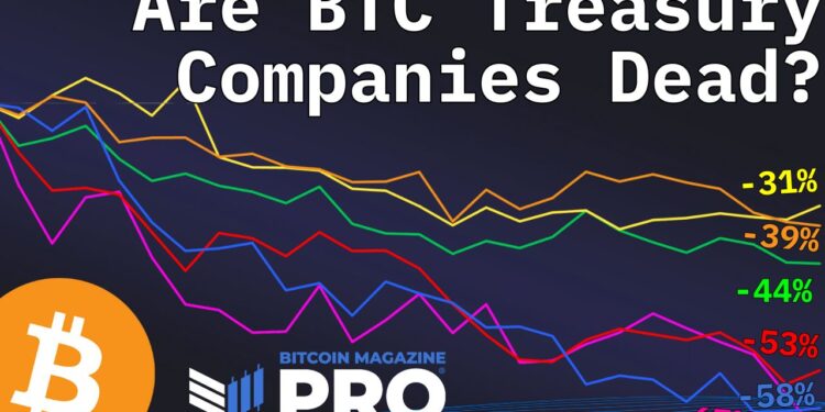Are Bitcoin Treasury Companies Still A Smart Investment In 2025?