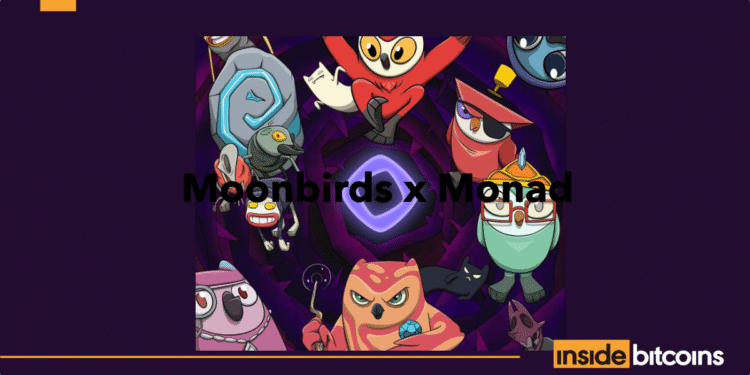 Moonbirds Joins Monad To Let Its NFT Users Claim $MON Airdrop