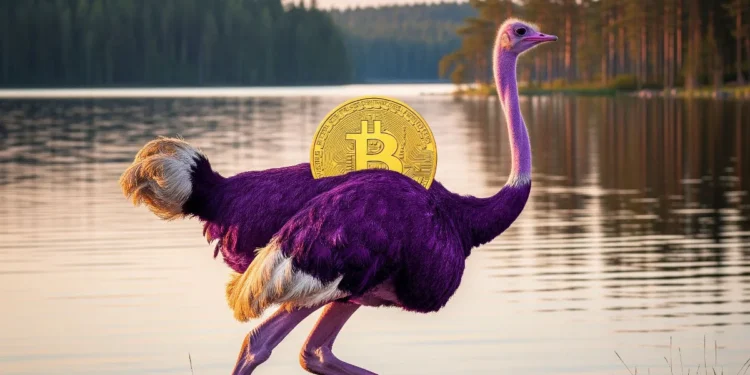 Are You Even A Bitcoiner If You’re Not On Nostr?